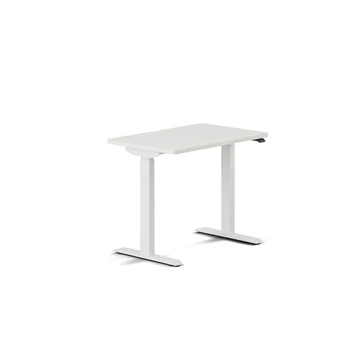 Branch Branch Duo Standing Desk