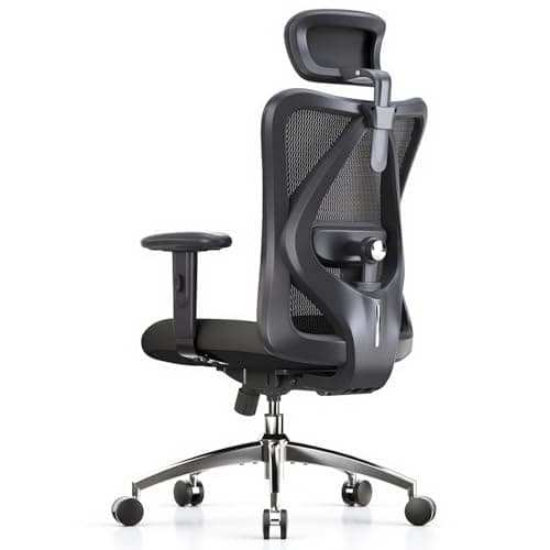 SIHOO SIHOO M18 Ergonomic Office Chair