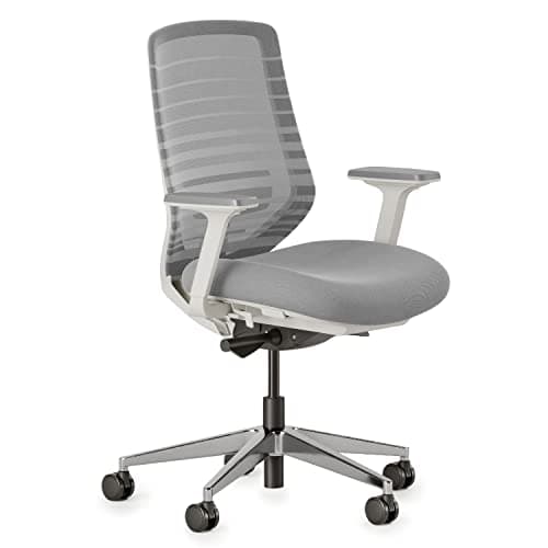 Branch Branch Ergonomic Chair